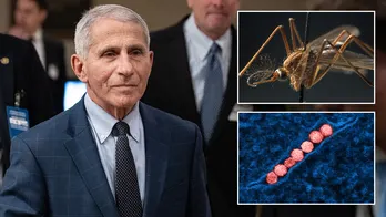 Fauci says West Nile Virus was a ‘harrowing’ experience: ‘Afraid I would never recover’