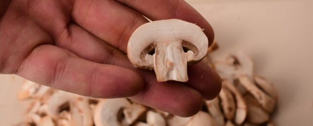 Mushroom Extract Shows Promising Effects Against Prostate Cancer